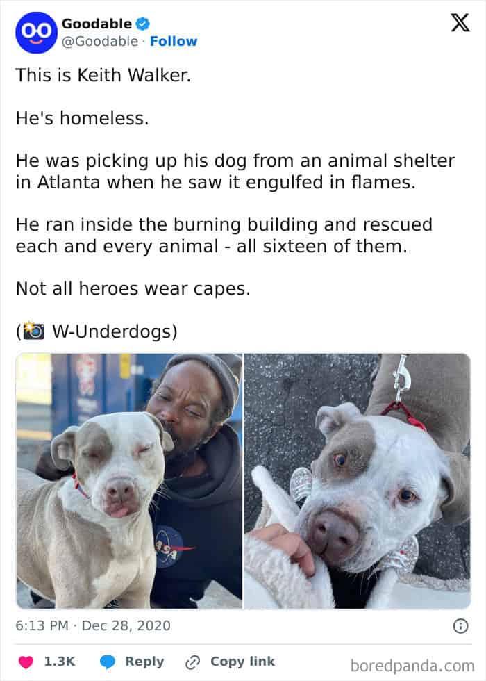 A positive post about a homeless hero who rescued every animal from a burning shelter.