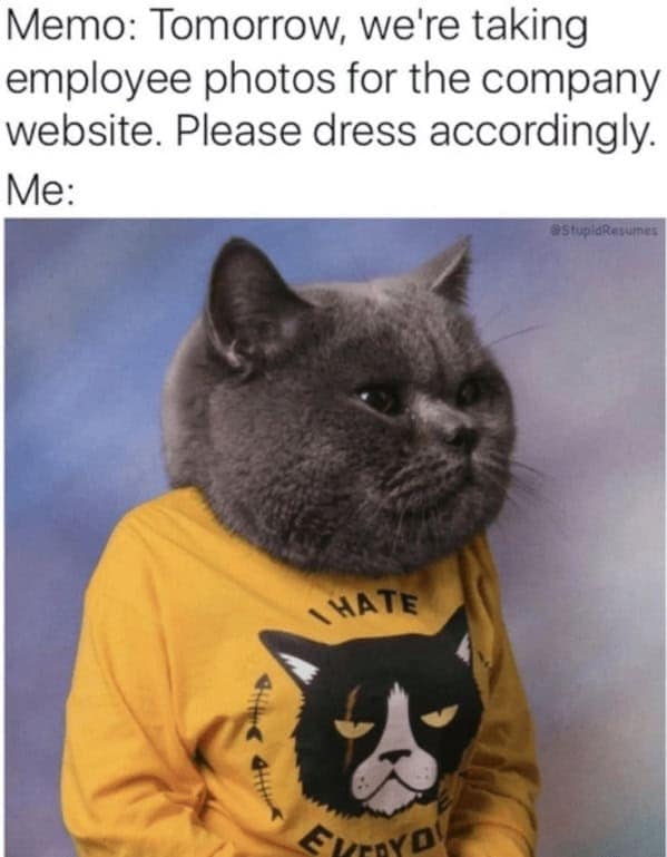 A cat-headed person wearing a shirt that says “I hate everyone,” posed for what looks like a school photo.