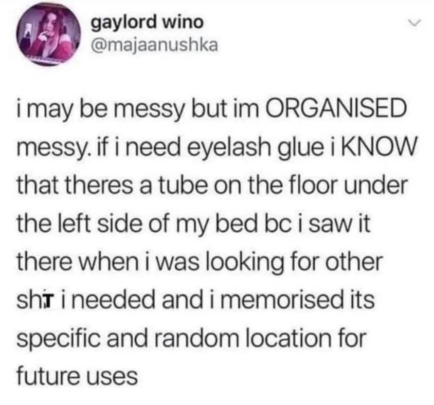A relatable ADHD meme about being messy but having an organized system where you know where everything is.