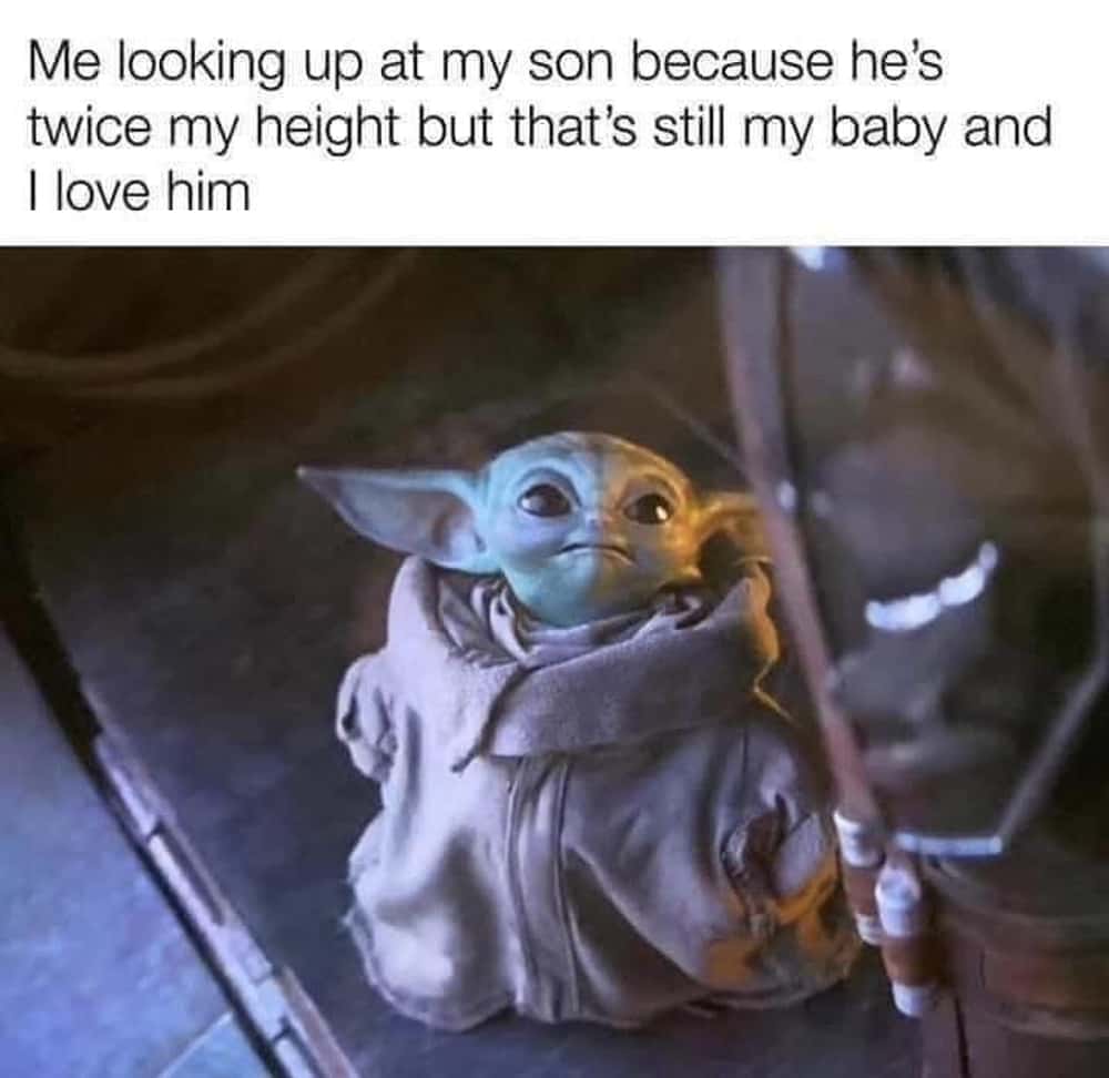 A Mandalorian and Grogu meme showing a parent looking up at their son who has grown much taller.
