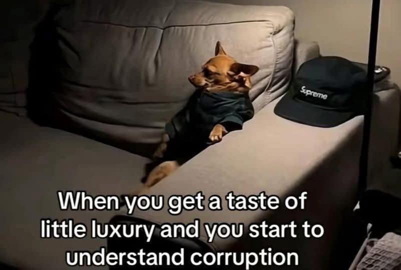 Small dog in a hoodie lounges on a couch beside a streetwear hat; caption says “When you get a taste of little luxury and you start to understand corruption.”