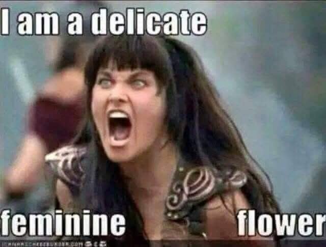 A classic meme using Xena Warrior Princess yelling alongside the ironic text "I am a delicate feminine flower."