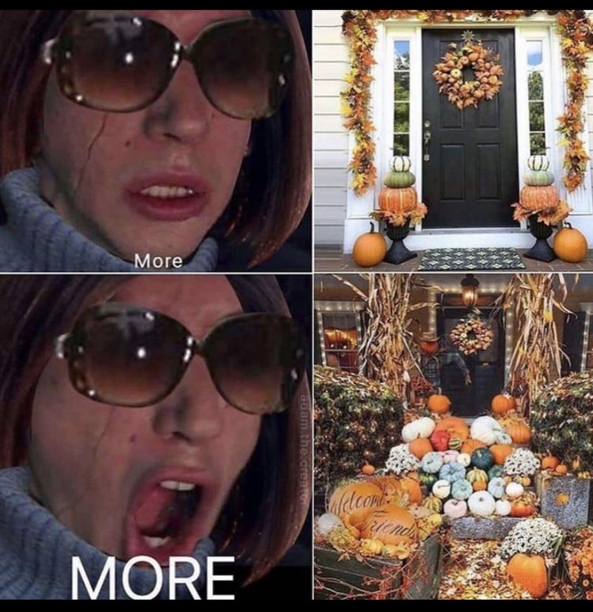 A classic meme using Kylo Ren demanding "More!" fall decorations, perfect for Halloween week.