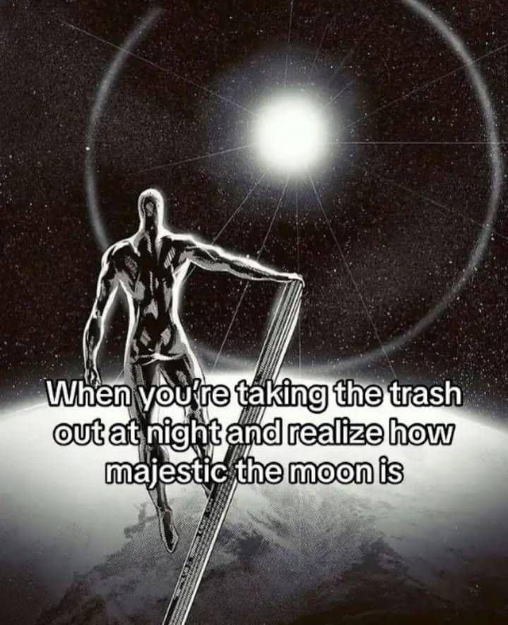 A classic meme using the Silver Surfer to show the majestic feeling of taking out the trash at night.