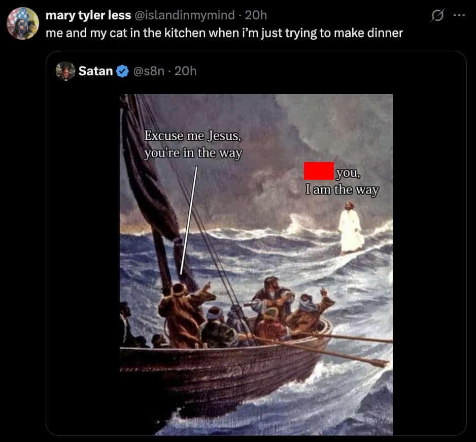 A funny quote tweet comparing a religious meme about Jesus being "the way" to a cat getting in the way.