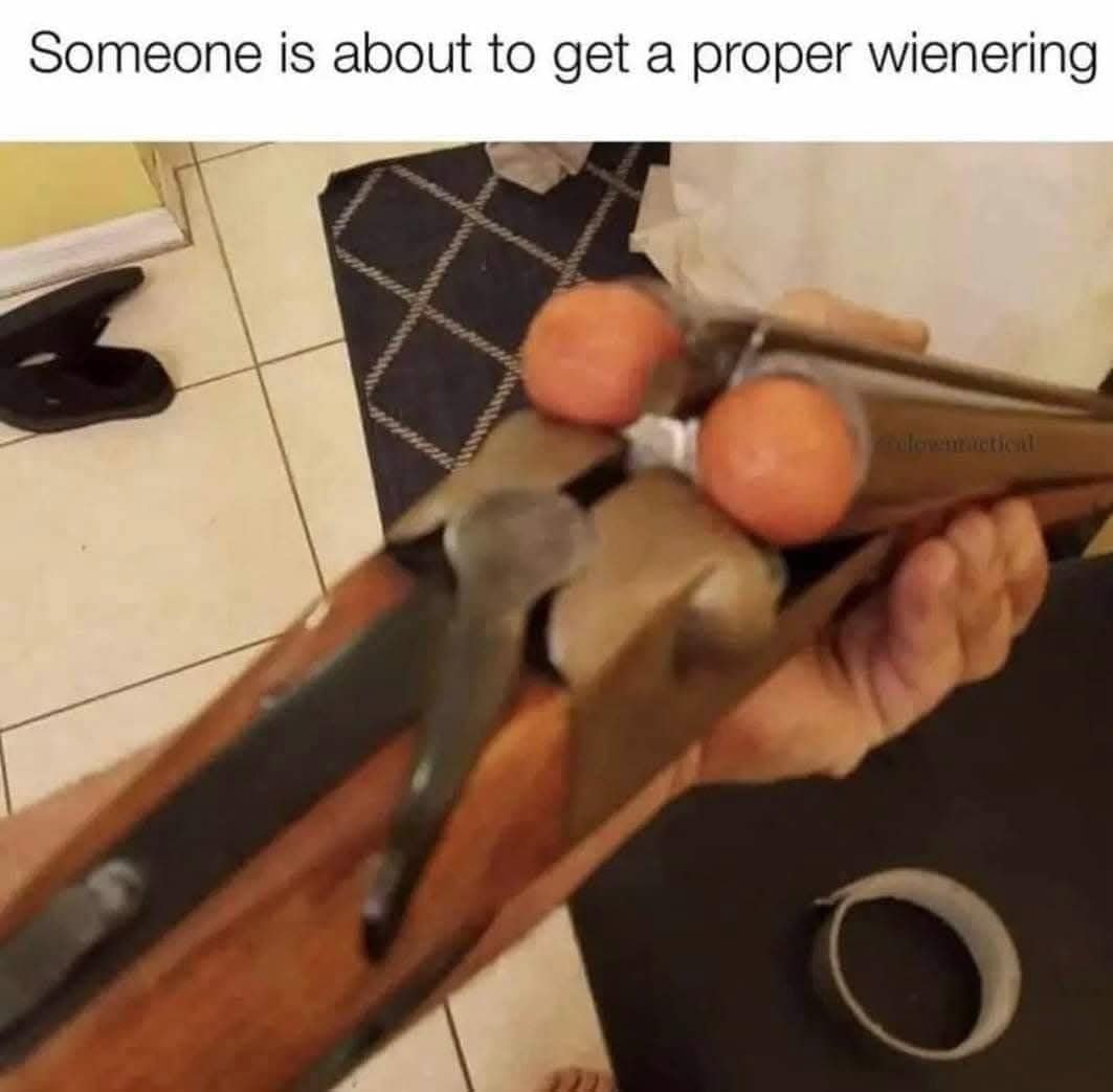 A funny meme of a double-barreled shotgun being loaded with two hot dog wieners.