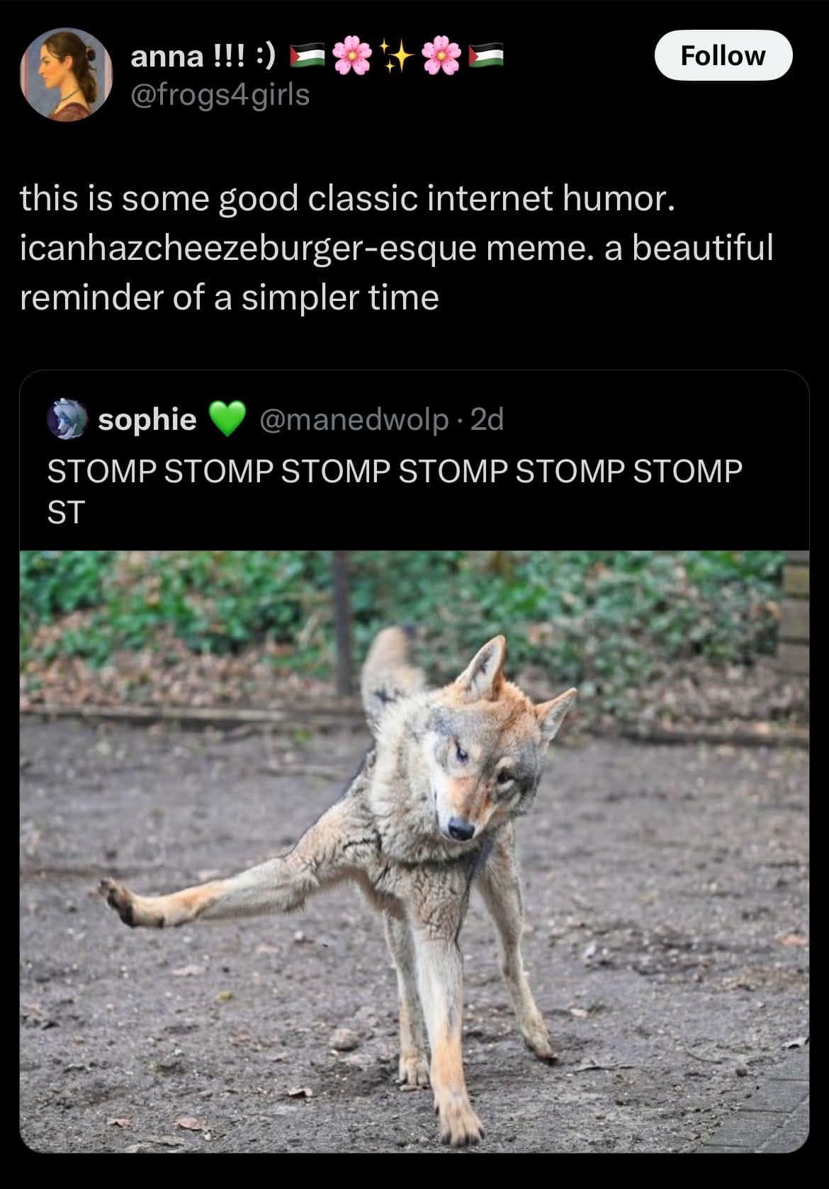 A classic internet humor meme of a wolf doing a silly walk with the caption "STOMP."