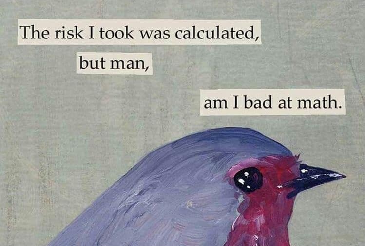 A funny bird meme of a painted bird saying, "The risk I took was calculated, but man, am I bad at math."