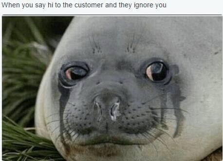 A customer service meme of a sad, crying seal, captioned about a customer ignoring a greeting.