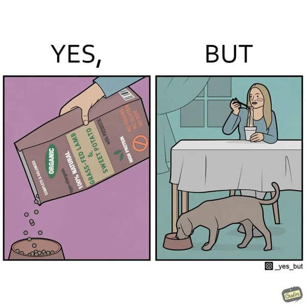 funny online web comic comparing expensive dog food to cheap human noodles