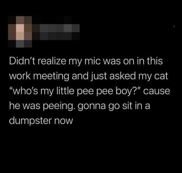 Tweet about a hot mic moment asking a cat about peeing during a meeting.