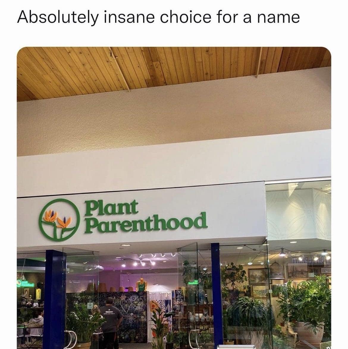 Storefront sign named Plant Parenthood making a pun on Planned Parenthood funny meme.