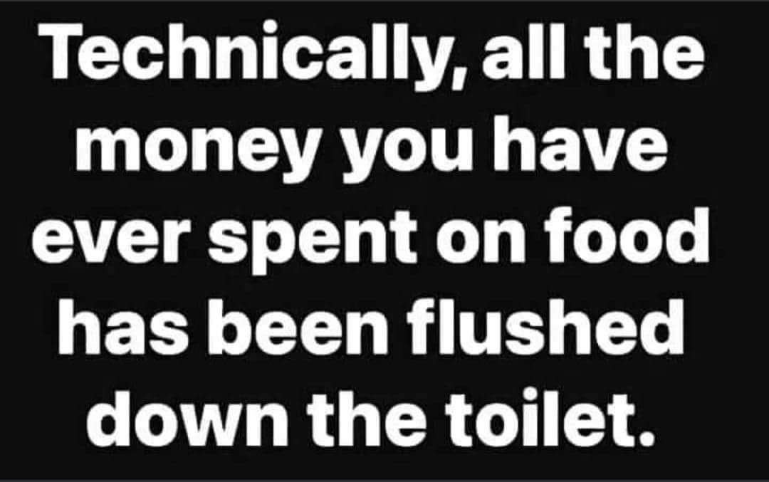 Text post realizing money spent on food is technically flushed down toilet.
