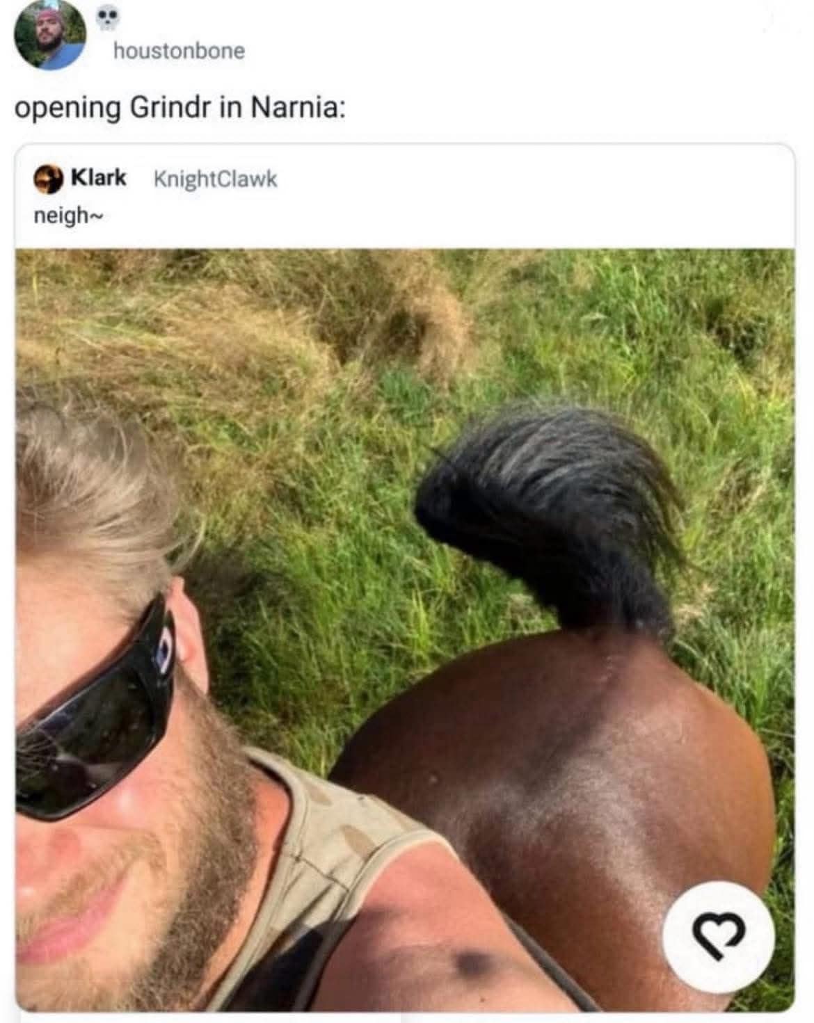 This funny meme shows a centaur taking a selfie for a dating app in Narnia.