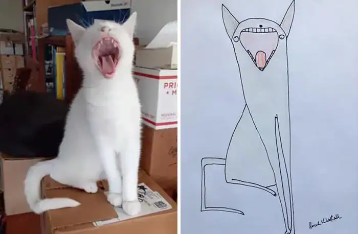 White cat yawning aggressively compared to a screaming alien-like line drawing.