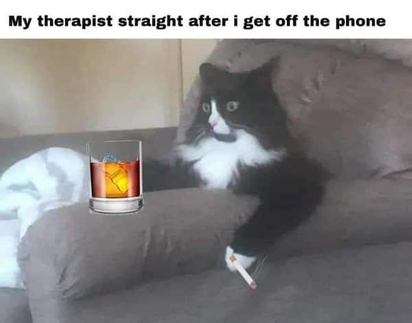 A classic meme of a cat sitting like a human with a drink and cigarette, representing a traumatized therapist.