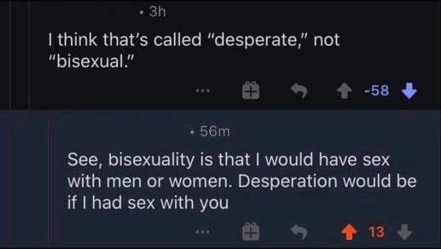 A clapback reply on Reddit defining bisexuality vs desperation to shut down a troll.