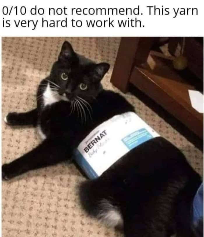 Black and white cat wrapped in a yarn label looking annoyed on the floor.