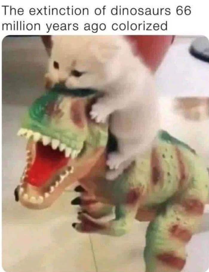 White kitten biting the head of a green toy T-Rex dinosaur.