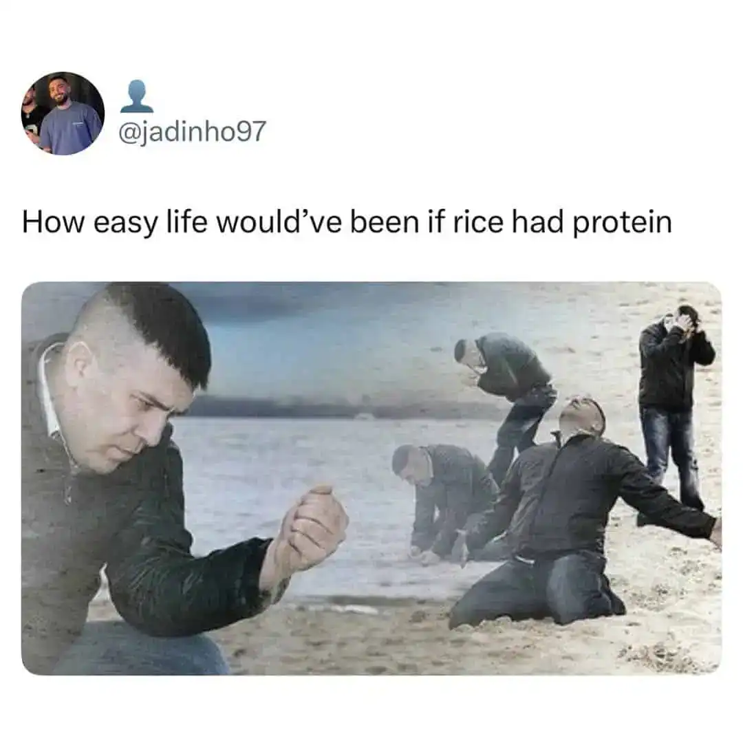 A gym meme showing a man falling to his knees in despair wishing rice had protein.