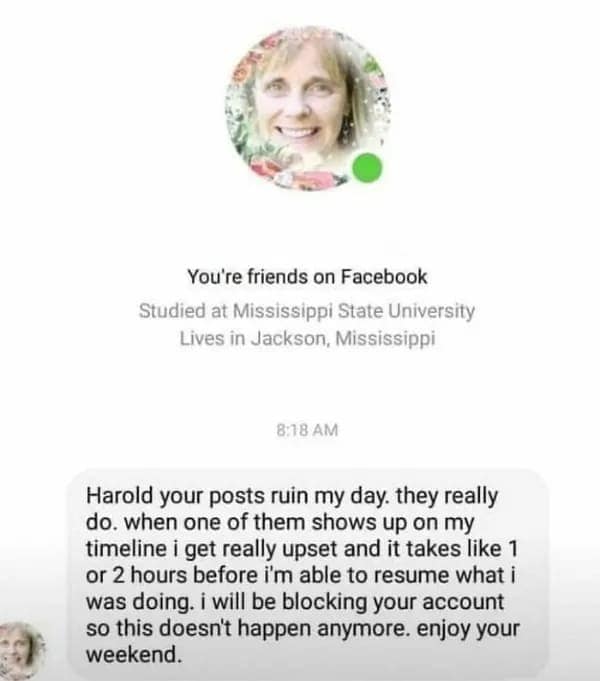 A Facebook message where a woman formally announces she is blocking Harold because his posts ruin her day, a funny old people vs technology moment.