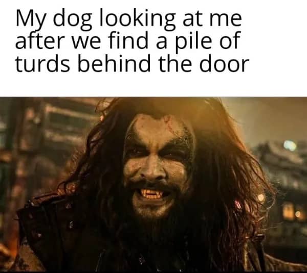 Jason Momoa as a grinning villain with a caption about a dog finding a mess.