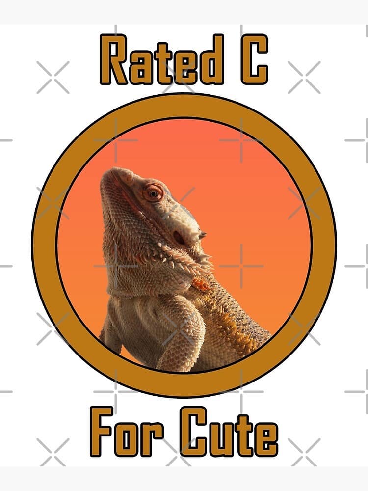 A wholesome classic meme graphic featuring a bearded dragon lizard with a rating label that reads "Rated C For Cute."