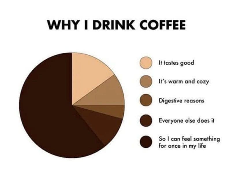 Coffee meme: A pie chart with various brown shades explaining motivations for drinking coffee. Text: "WHY I DRINK COFFEE... So I can feel something for once in my life"