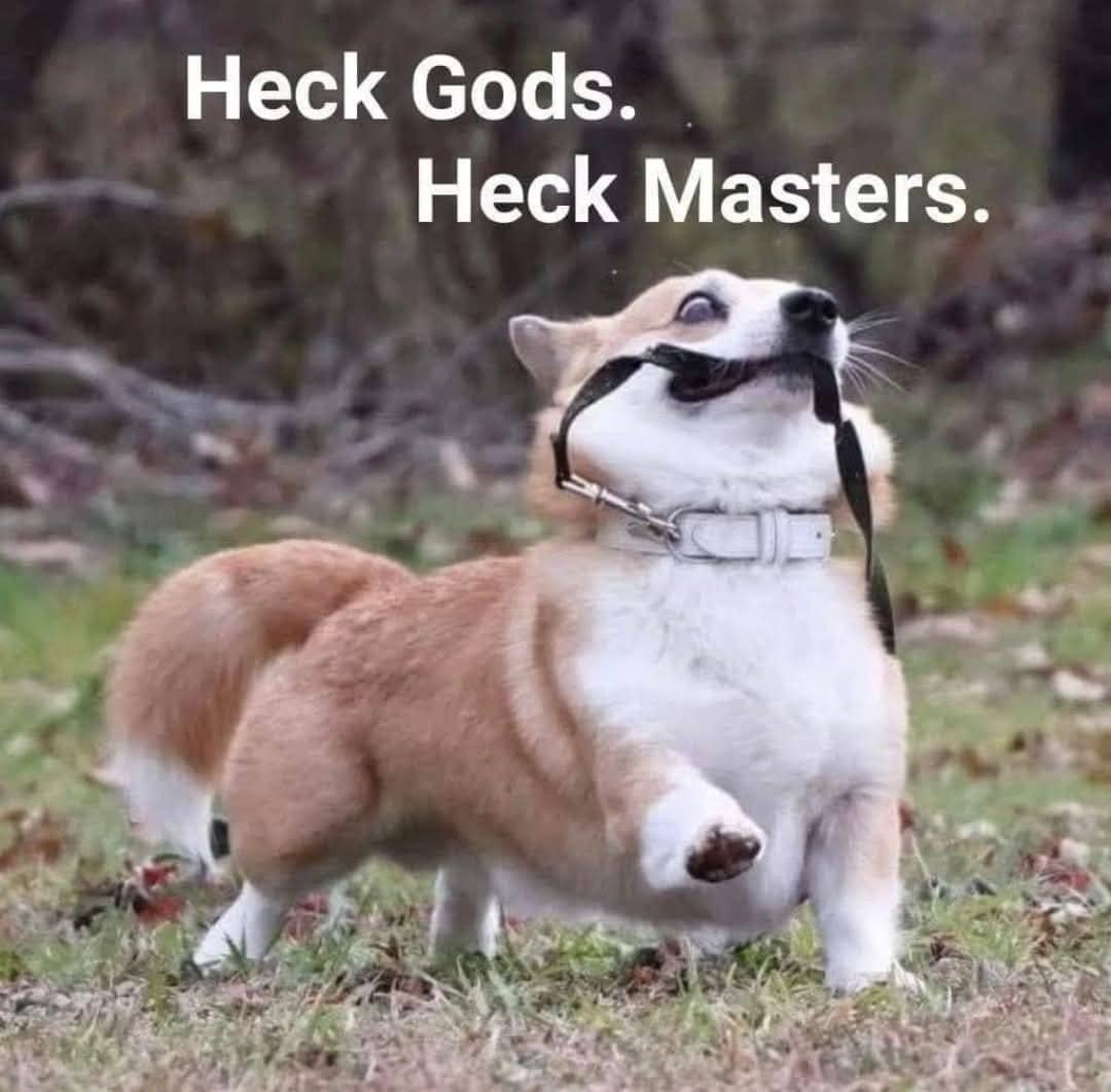Funny corgi dog running through grass while proudly holding its own leash in its mouth with text.