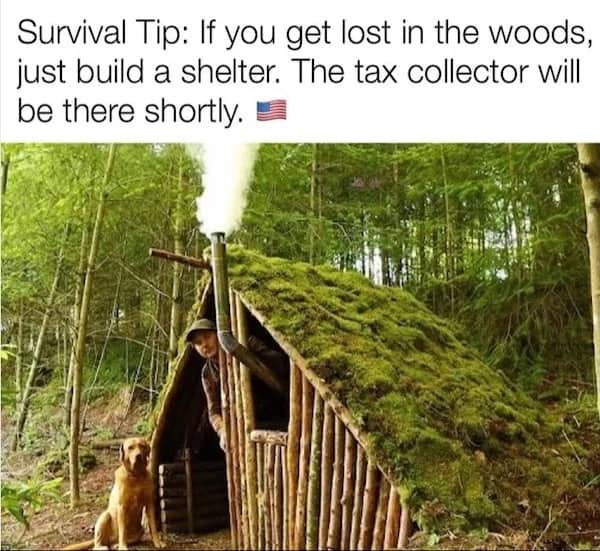 A man looking out of a moss-covered forest shelter with a dog sitting nearby.