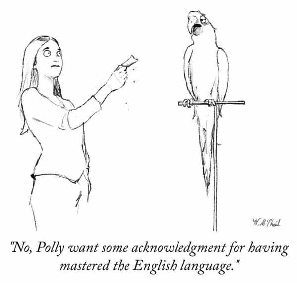 A funny single panel comic where a parrot refuses a cracker and demands acknowledgment for mastering the English language.