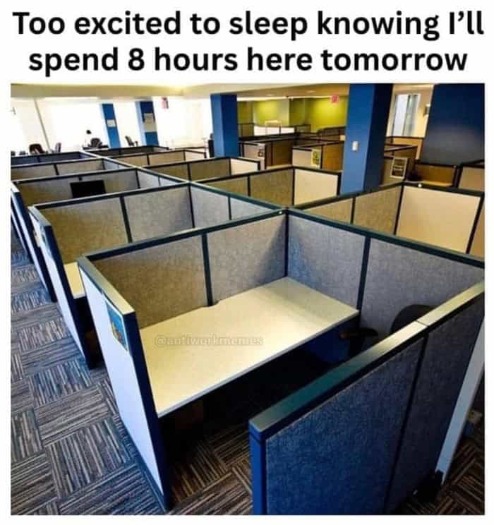 A bleakly sarcastic work meme showing a sea of depressing, grey, windowless office cubicles with the caption "Too excited to sleep knowing I'll spend 8 hours here tomorrow," highlighting the soul-crushing nature of corporate life.