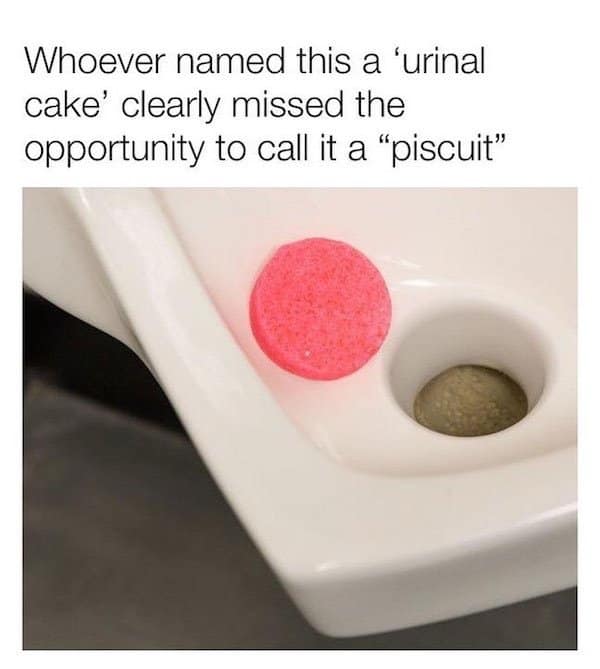 pun-filled classic meme featuring a close-up photo of a bright pink urinal cake sitting in a white ceramic urinal. The text overlay observes: "Whoever named this a 'urinal cake' clearly missed the opportunity to call it a 'piscuit'."