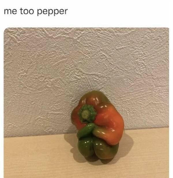 melancholic classic meme showing a red and green bell pepper that has naturally grown into a shape resembling a person sitting down and hugging their knees in despair. The caption reads, "me too pepper."