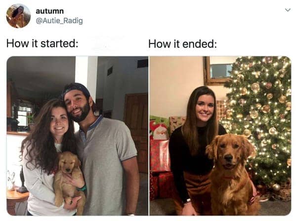 Couple holding a small golden retriever puppy next to the grown dog sitting by a Christmas tree.