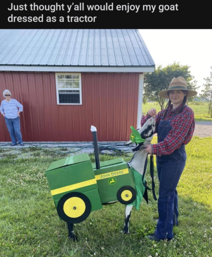 funny entry in this meme dump showing a goat wearing an elaborate green John Deere tractor costume made of cardboard, standing in front of a red barn with its owner in overalls and a straw hat.