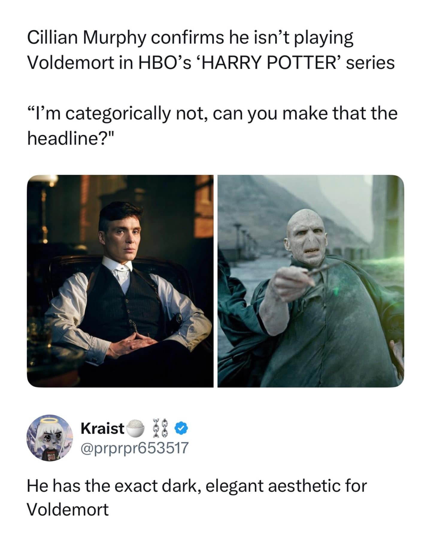 A pop culture meme dump post discussing rumors for the HBO Harry Potter series, featuring Cillian Murphy alongside Voldemort with a comment noting he has the exact "dark, elegant aesthetic" for the villain.