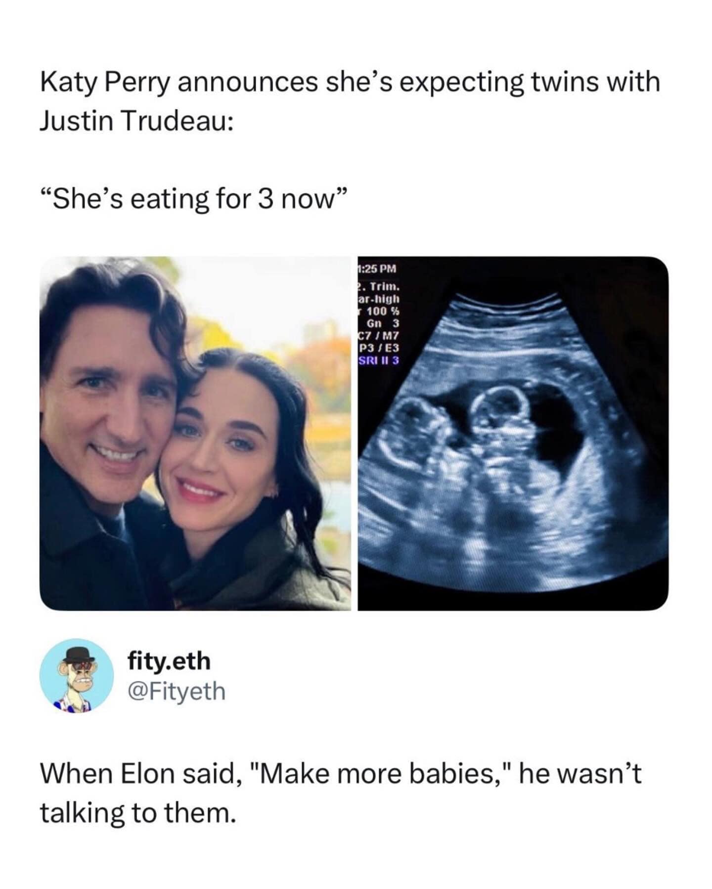 chaotic meme dump screenshot featuring a fake news headline about Katy Perry and Justin Trudeau, paired with a snarky comment regarding Elon Musk’s public pleas for the population to "make more babies."