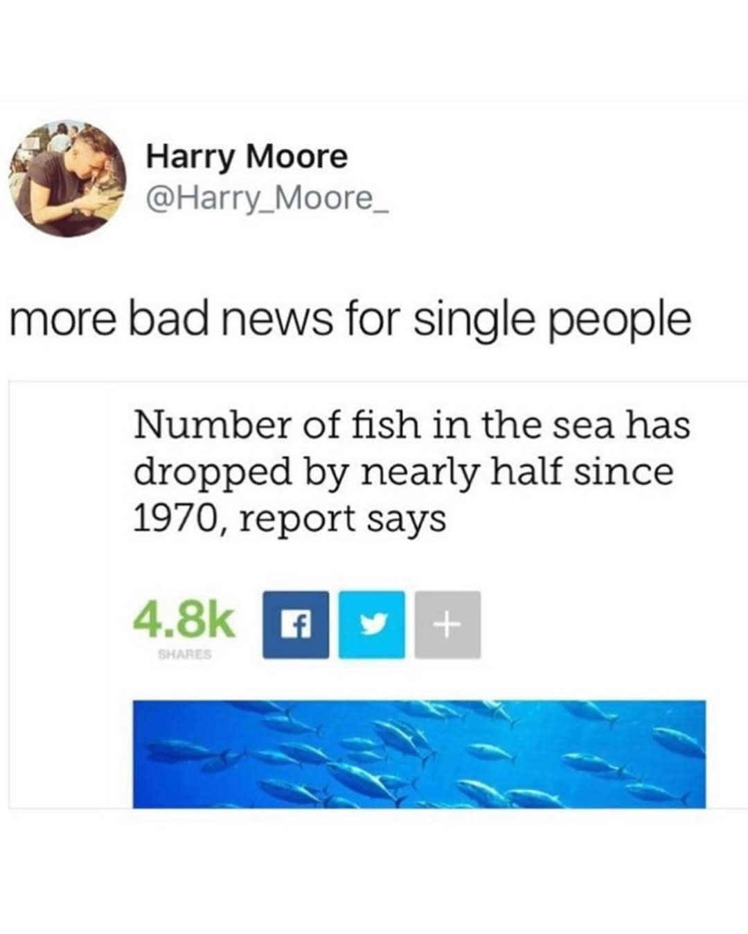 witty meme dump observation linking ecological collapse to dating struggles, jokingly noting that the decline of fish in the sea since 1970 is "bad news" for those looking for a partner.