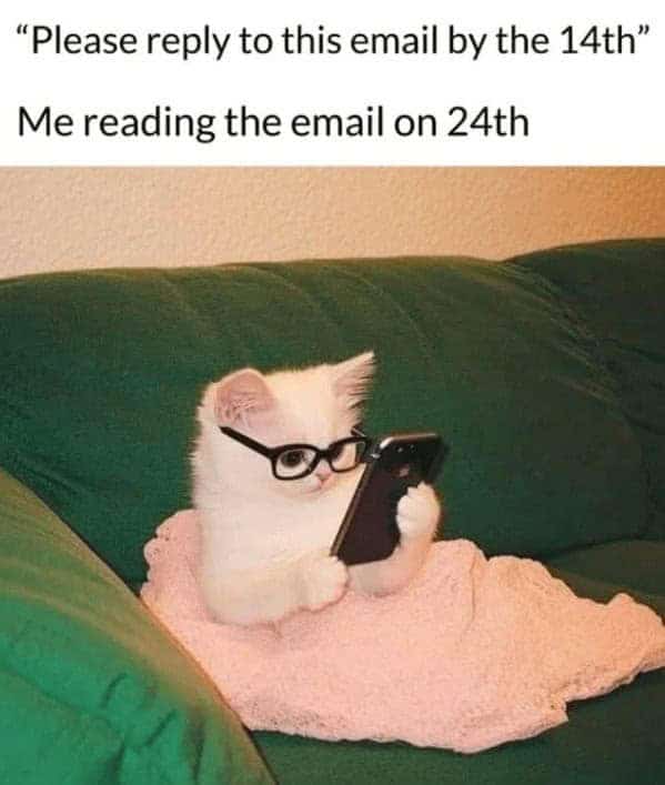 A small white kitten wearing black glasses huddling under a pink blanket while staring at a smartphone.