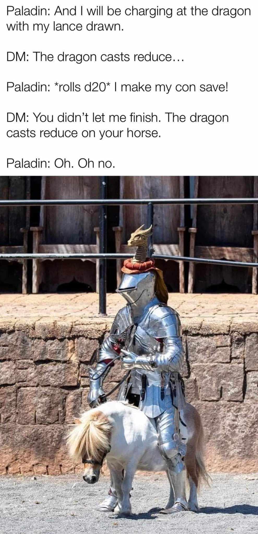 d&d meme featuring a dialogue between a Paladin and a DM where a Dragon casts the "Reduce" spell on a mount. Below the text is a photograph of a knight in polished silver plate armor perched awkwardly atop a tiny, fluffy white pony.