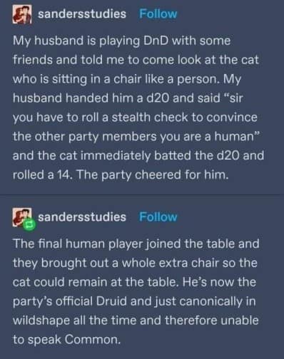 dnd meme screenshot of a Tumblr post describing a cat that joined a game by rolling a 14 on a stealth check to "convince the party he is human." The story concludes with the cat becoming the official party Druid who stays in Wildshape permanently.