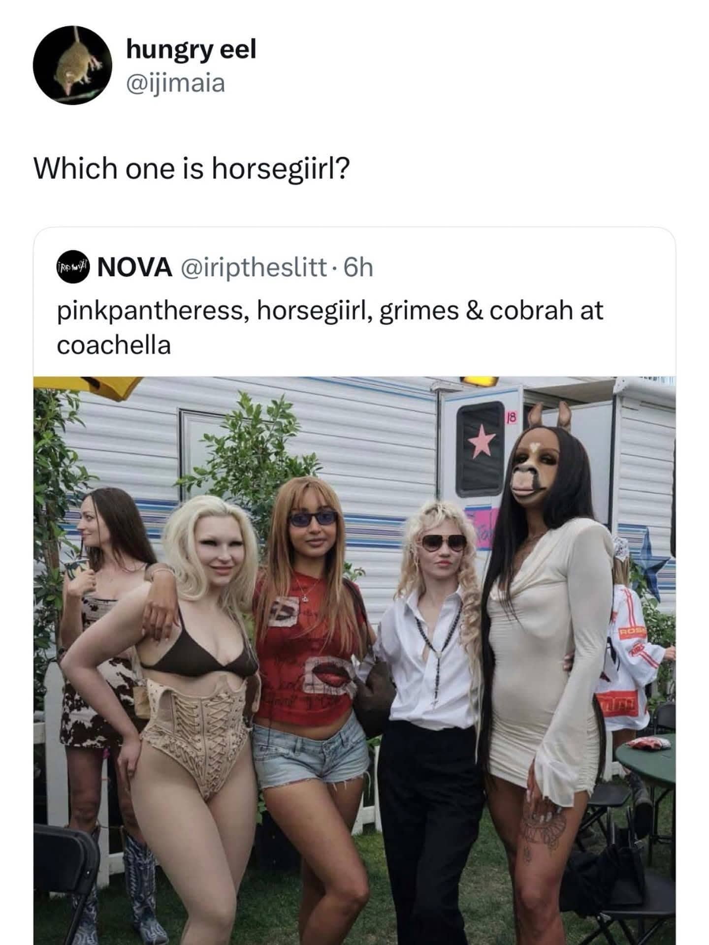 Funny tweet featuring PinkPantheress, horsegiirl, Grimes, and Cobrah at Coachella with a horse mask confusion.