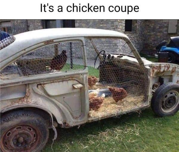 Rusty old car shell converted into a backyard chicken coop captioned it is a chicken coupe