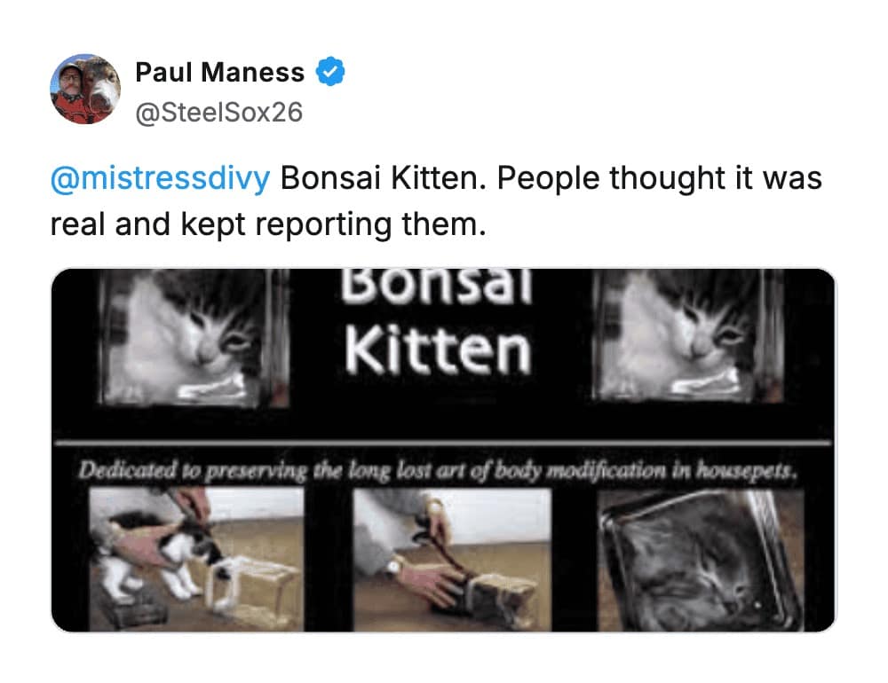 A social media post by Paul Maness discussing Bonsai Kitten as a nostalgic website hoax, showing the infamous grainy images of kittens supposedly being grown inside glass jars to mold their shape.