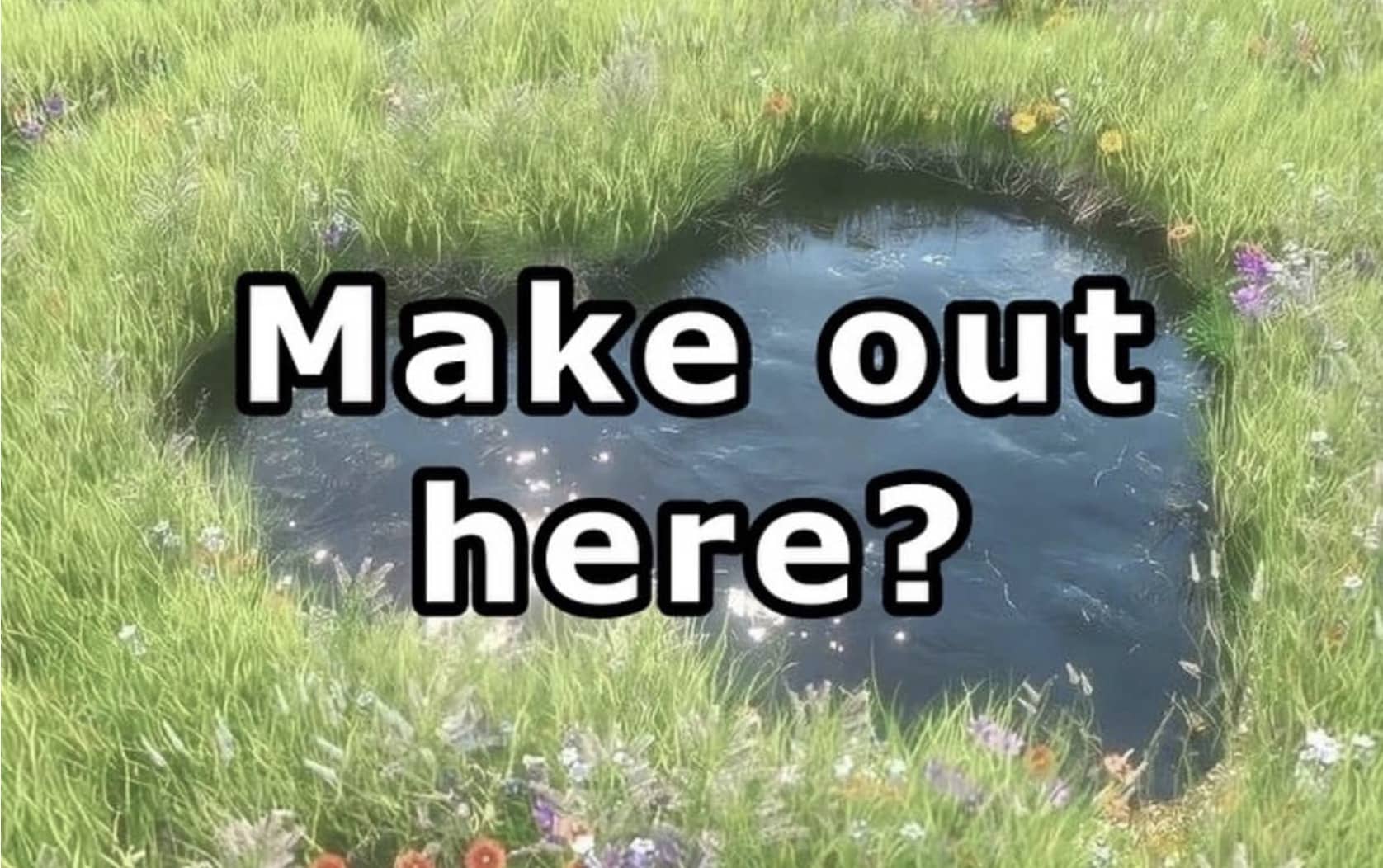 Small scenic pond surrounded by lush green grass and wildflowers with text asking make out here.