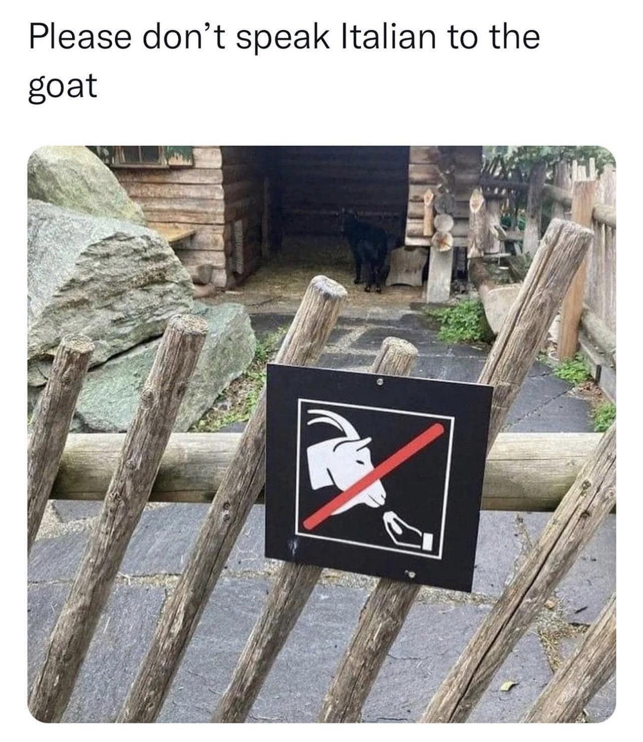 A municipal warning sign prohibiting a pinched Italian hand gesture next to a black goat stable serves as a hilarious classic meme poking fun at cross-species cultural boundaries.