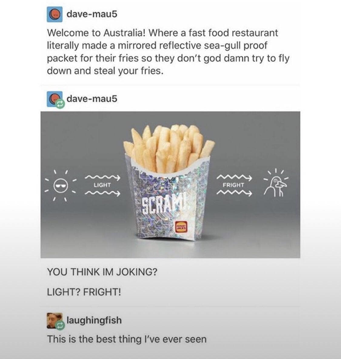 classic meme showing the Australian "seagull-proof" fry packet made of holographic material, using the logic of "Light? Fright!" to keep birds away from the food.