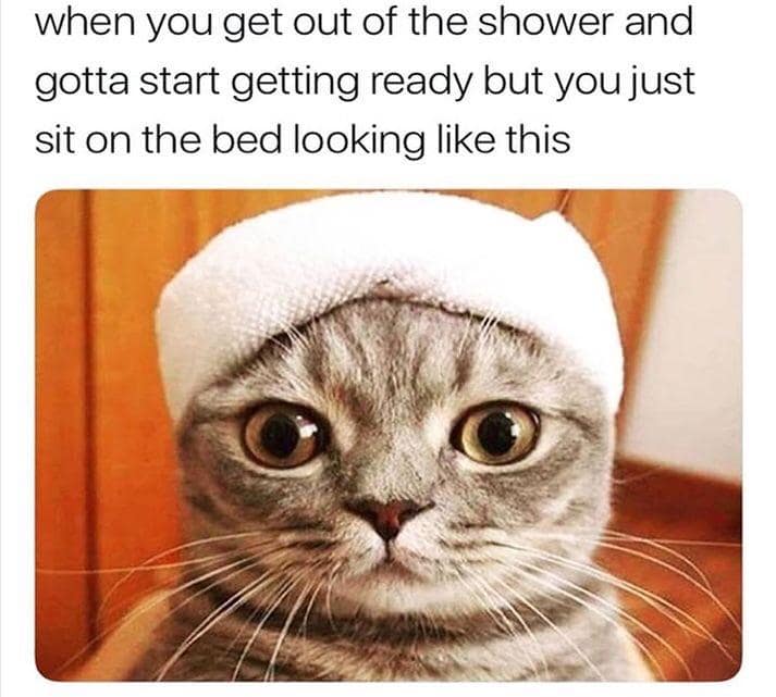 A cute gray tabby cat staring blankly with a white towel wrapped like a post-shower hair turban illustrates one of the best memes capturing the mandatory 45-minute bed freeze before getting dressed.