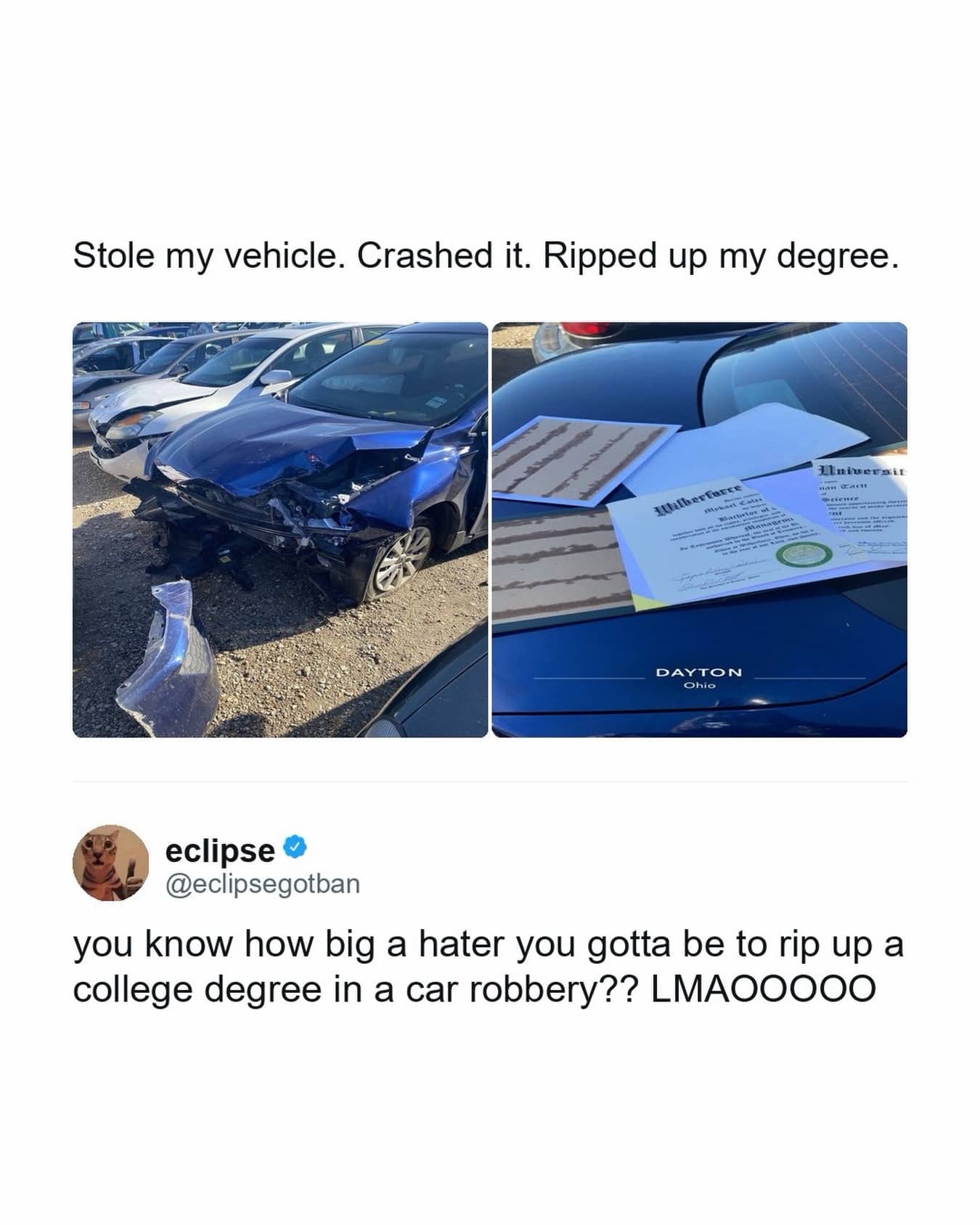 Twitter meme about a car robber crashing a vehicle and spitefully ripping up a college degree.